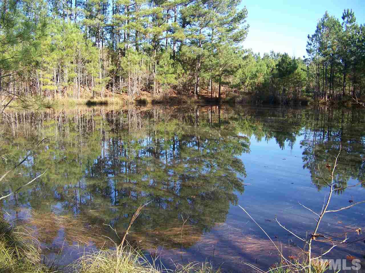 0 Sam Moss Hayes Road Creedmoor, NC 27522 - Photo 6 of 13 Gallery Image 6