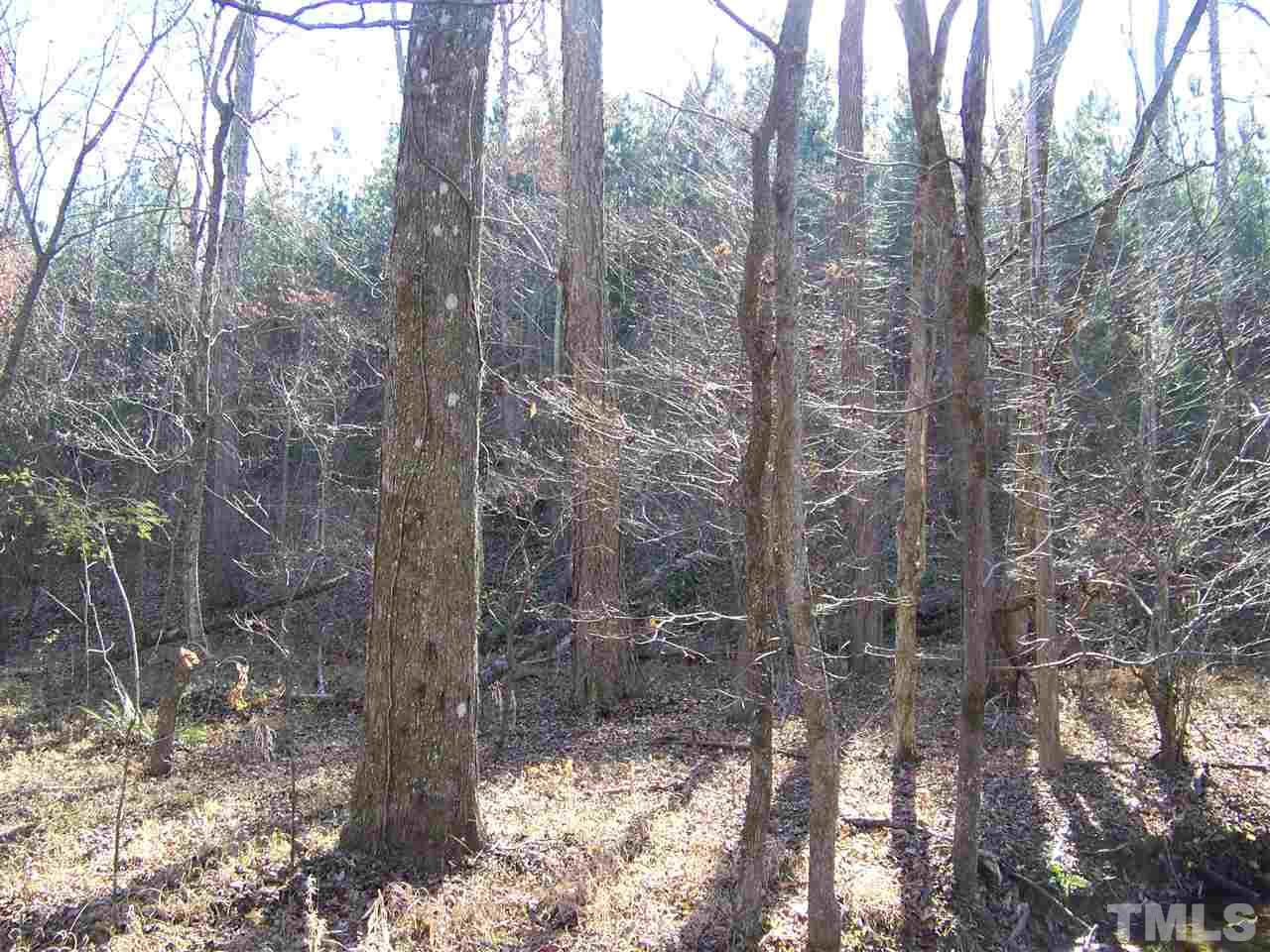 0 Sam Moss Hayes Road Creedmoor, NC 27522 - Photo 8 of 13 Gallery Image 8