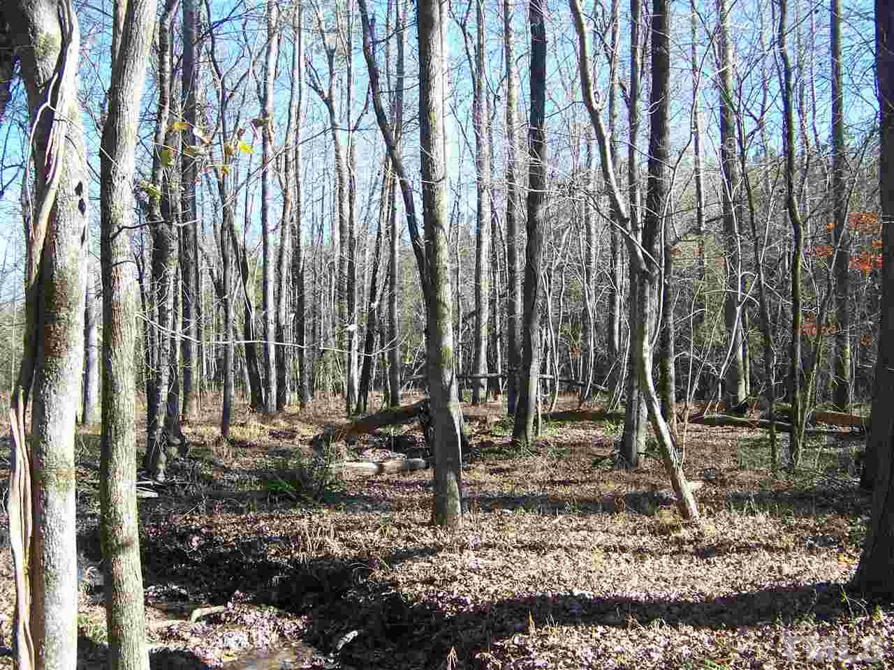 0 Sam Moss Hayes Road Creedmoor, NC 27522 - Photo 10 of 13 Gallery Image 10
