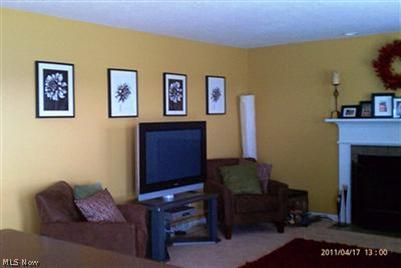 63 Bandy Road North Benton, OH 44449 - Photo 8 of 20 Closer view of great room.