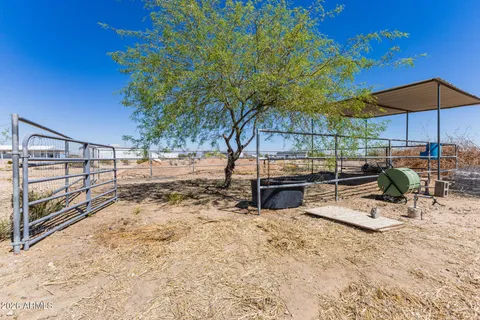 a view of a backyard with wooden fence and a large tree