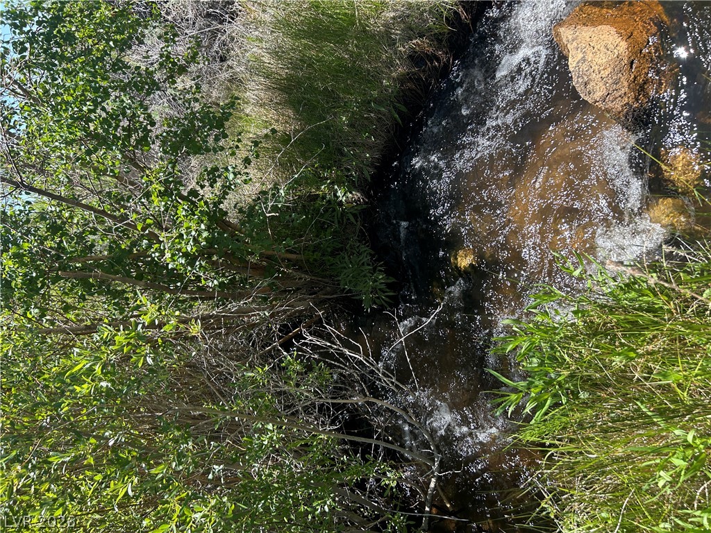 360 Mountain Creek Road Dyer, NV 89010 - Photo 14 of 23 A tranquil stream meanders through verdant foliage, offering a serene natural boundary.
