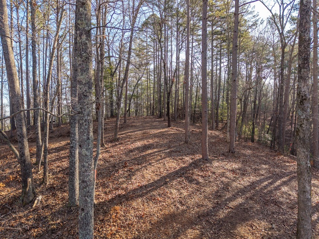 1665 Hunter Drive Ranger, GA 30734 - Photo 5 of 18 Gallery Image 5