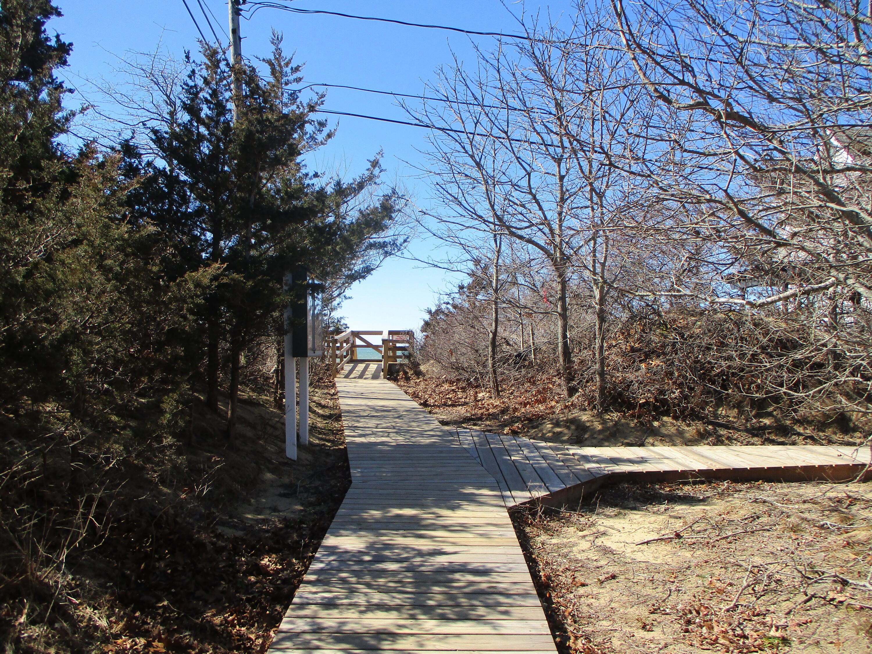 565 Higgins Road Eastham, MA 02642 - Photo 33 of 39 IMG_7582