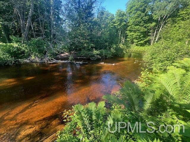 11.6 Acres Off Remington Road Marquette, MI 49855 - Photo 34 of 39