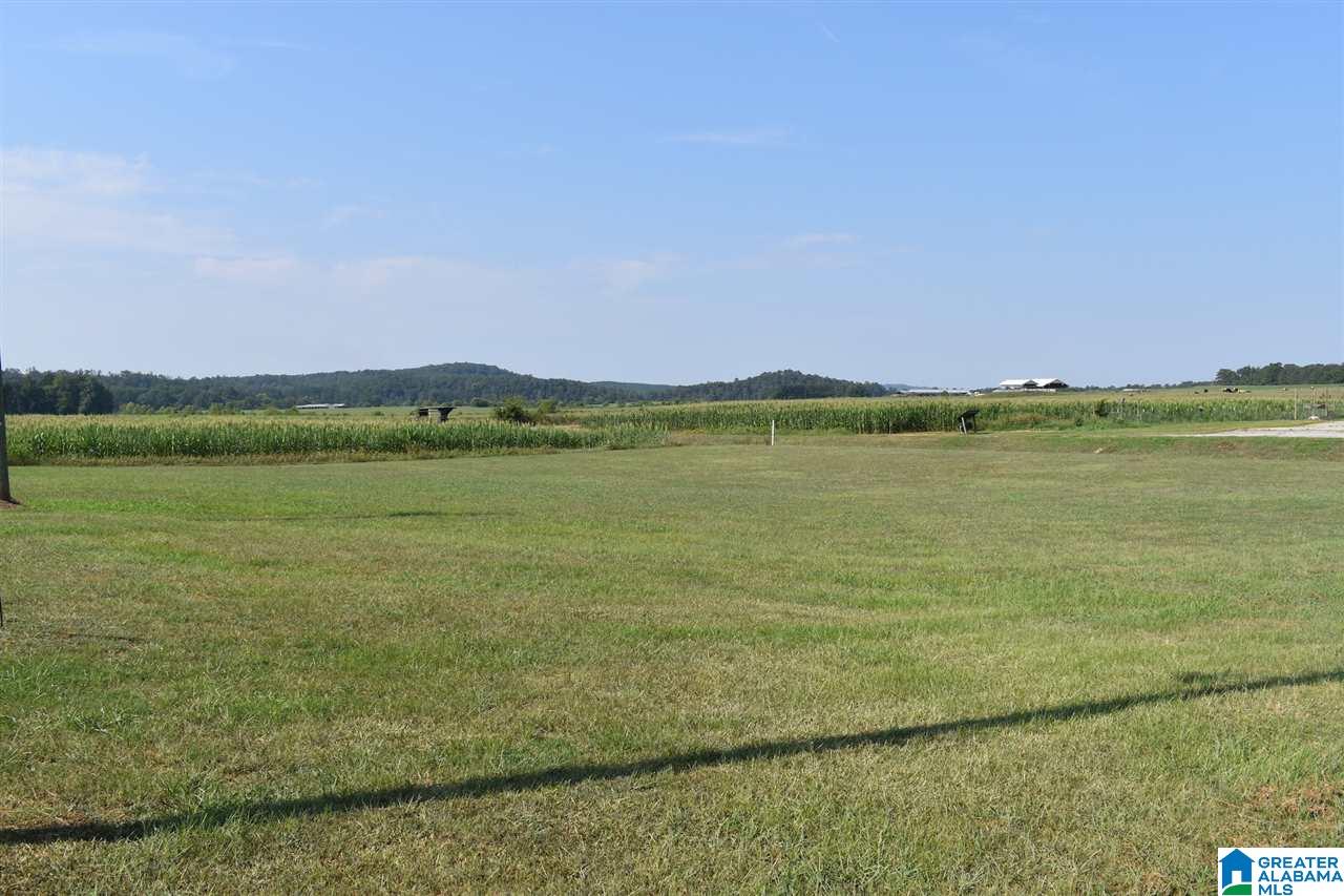 17280 Highway 160 Cleveland, AL 35049 - Photo 3 of 27