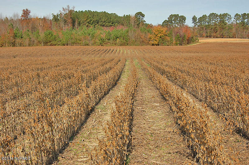 3 Rommie Daniels Road Castalia, NC 27816 - Photo 3 of 5 4