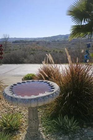 a view of yard with outdoor space