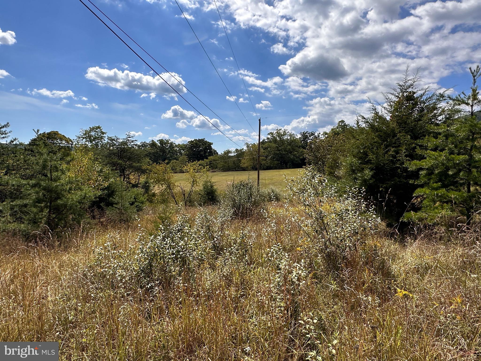 Knobley Road Keyser, WV 26726 - Photo 6 of 19