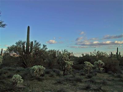 34271 South Davis Ranch Road Marana, AZ 85658 - Photo 2 of 4 Gallery Image 2
