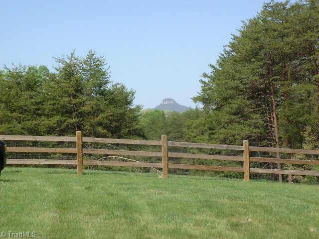 1141 Curt Boyles Road King, NC 27021 - Photo 7 of 9 Other. Pilot Mountain view