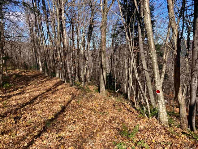 $335,000 | Lot 27 Roundabout Road, Killington, VT 05751