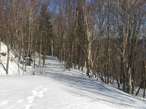 $298,500 | Lot 27 Roundabout Road, Killington, VT 05751