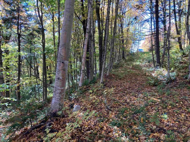 $335,000 | Lot 27 Roundabout Road, Killington, VT 05751