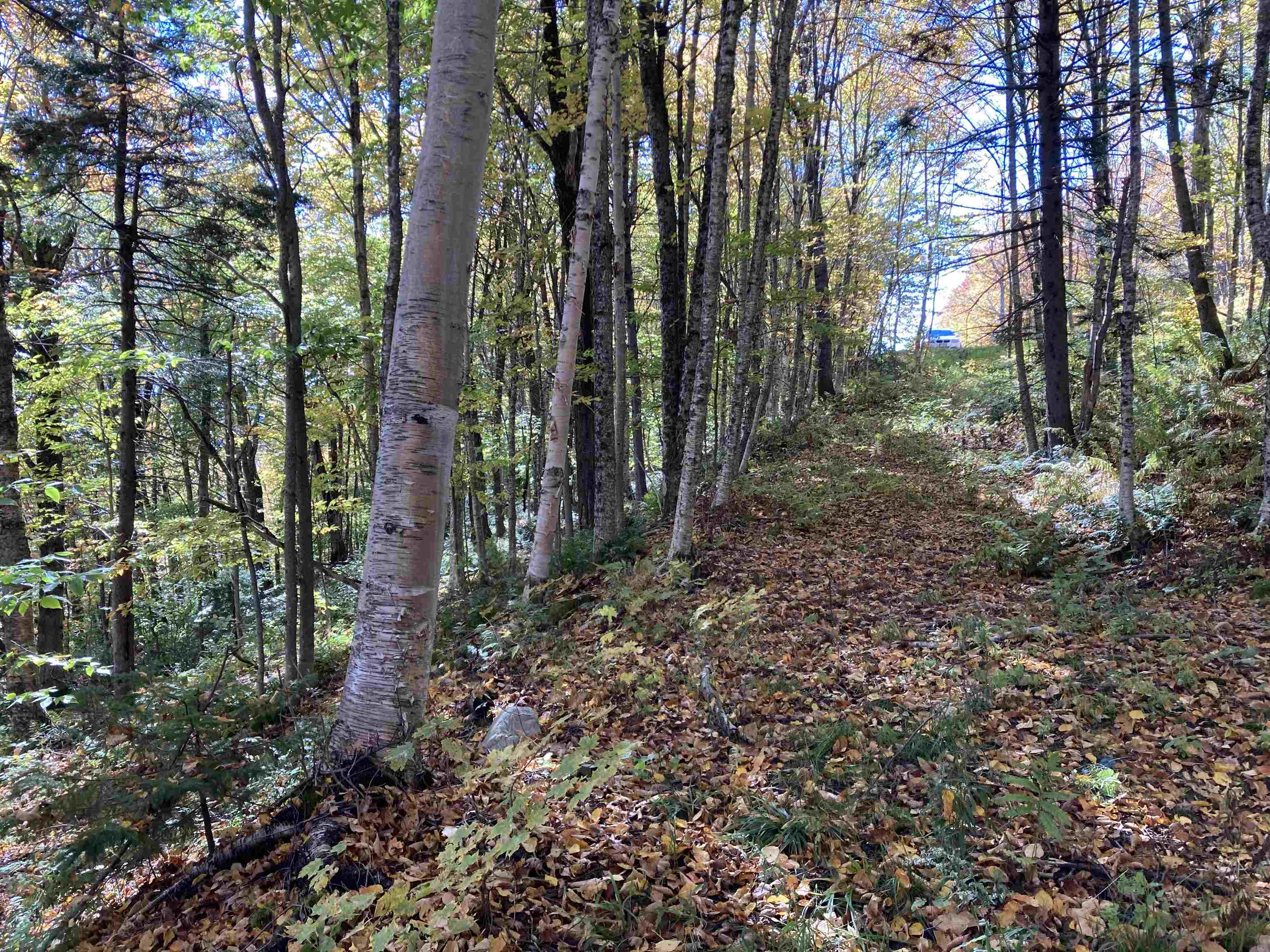 Lot 27 Roundabout Road Killington, VT 05751 - Photo 8 of 17