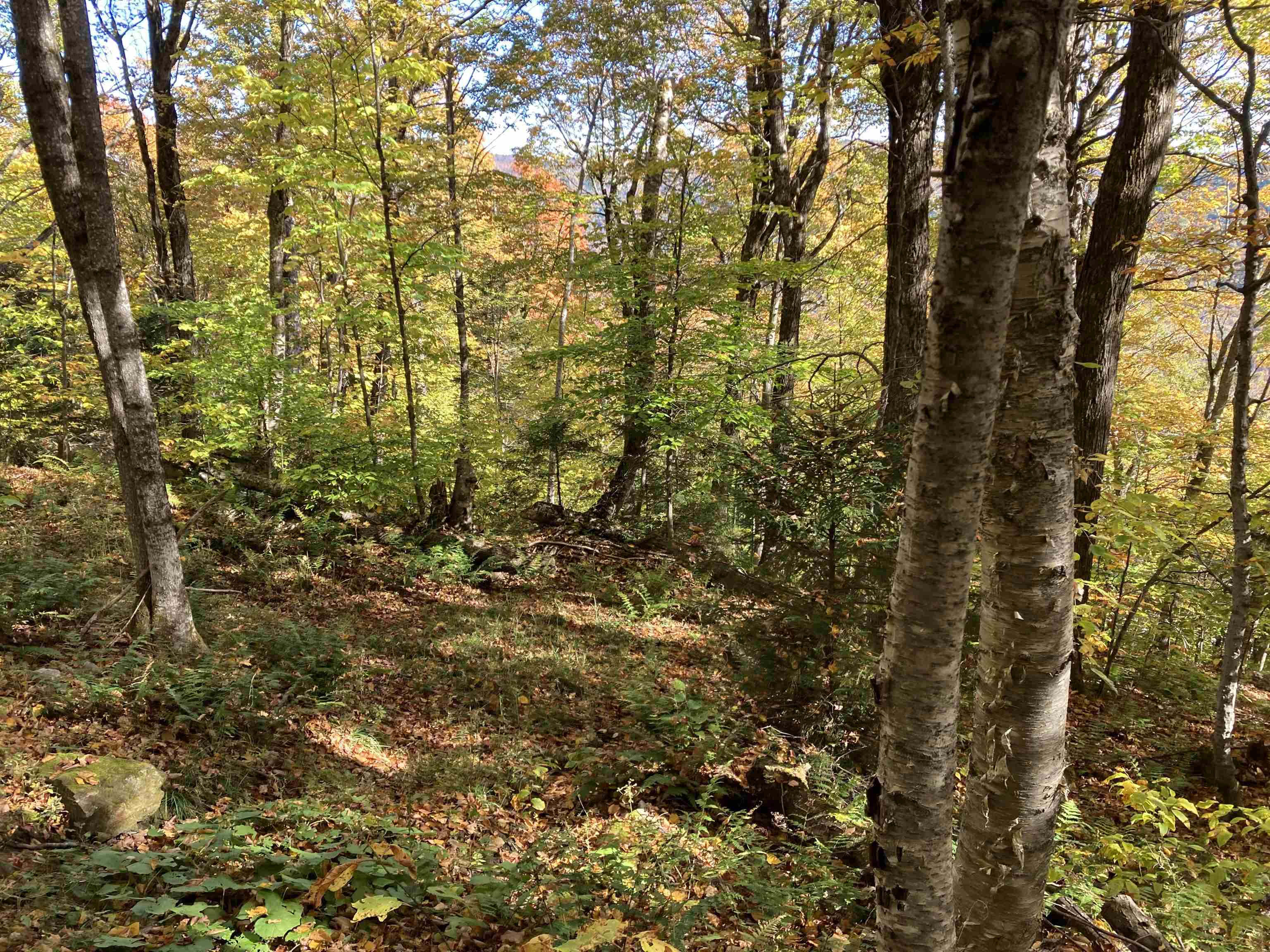 Lot 27 Roundabout Road Killington, VT 05751 - Photo 9 of 17