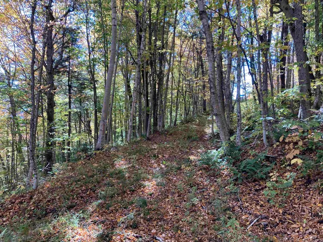 $335,000 | Lot 27 Roundabout Road, Killington, VT 05751