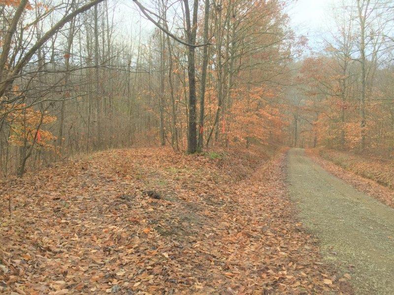 0 Wolman Road Chesterhill, OH 43728 - Photo 17 of 57 Gallery Image 17