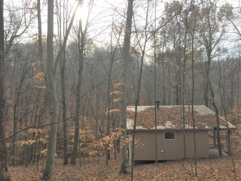 0 Wolman Road Chesterhill, OH 43728 - Photo 56 of 57 Gallery Image 56
