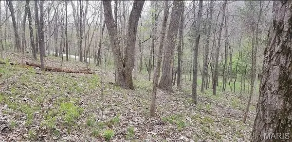 $185,000 | 1500 Summit On Pond Lane, Wildwood, MO 63038