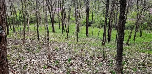 $185,000 | 1500 Summit On Pond Lane, Wildwood, MO 63038