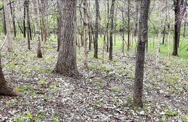 $185,000 | 1500 Summit On Pond Lane, Wildwood, MO 63038