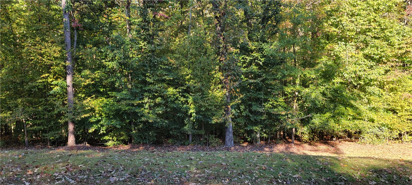 0 Point Road, Unit 504 & 505 Westminster, SC 29693 - Photo 1 of 24 Double Lots on Point Road!
