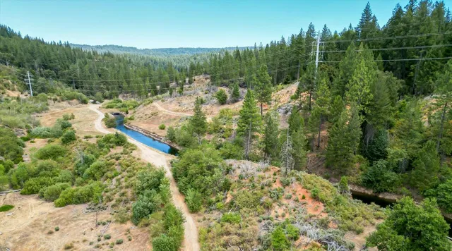 a view of a forest with a lake