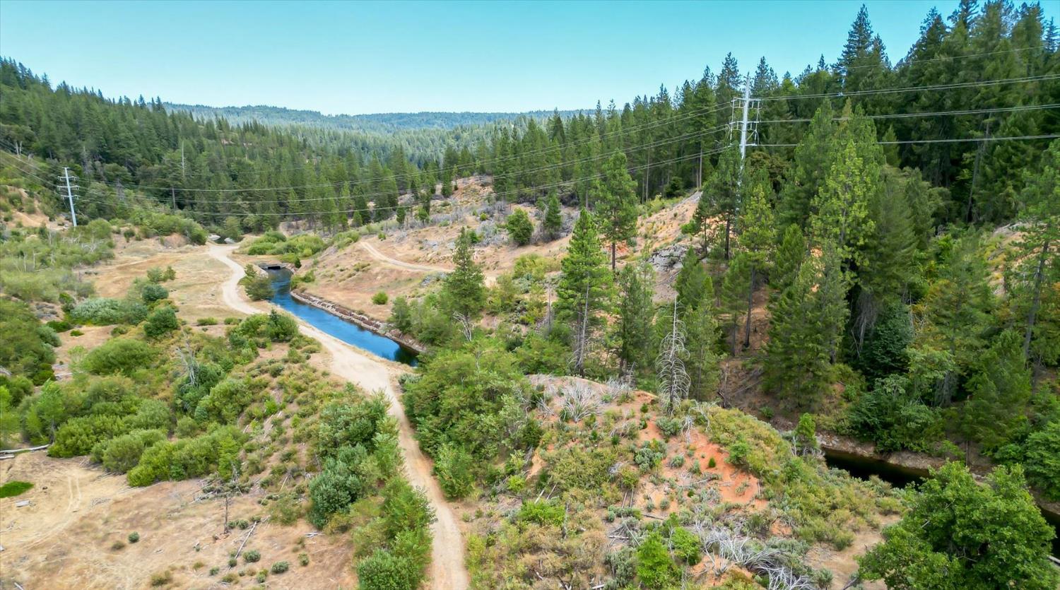 a view of a forest with a lake