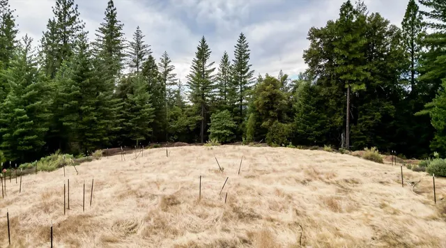 a view of lake with mountain