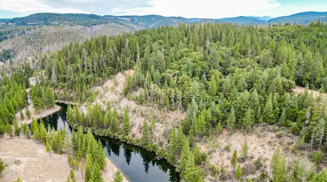 a view of an aerial view of residential houses with outdoor space and trees