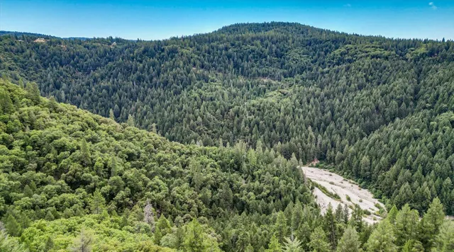 a view of a car parked in the forest