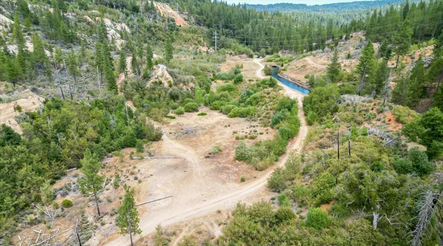 a view of a yard with plants and large trees