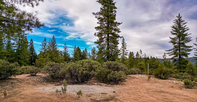 a view of a yard with a tree
