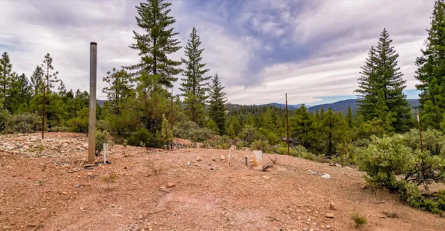 a view of a bunch of trees