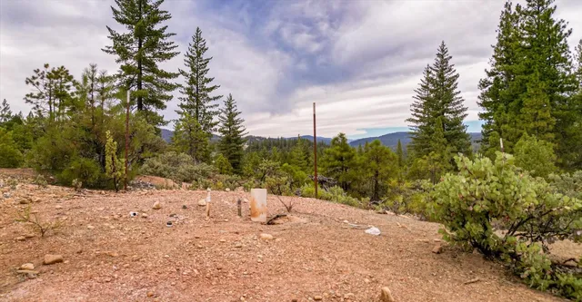 a view of a lush green forest with mountains in the background