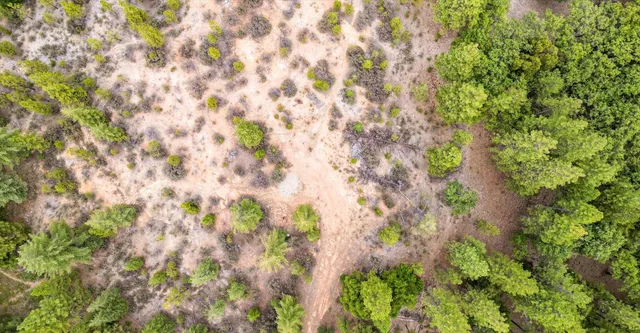 a backyard of a house with lots of green space