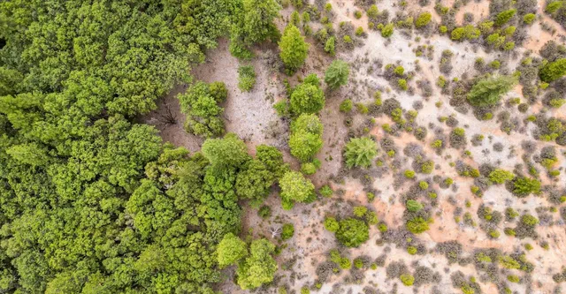 a view of lake and mountain