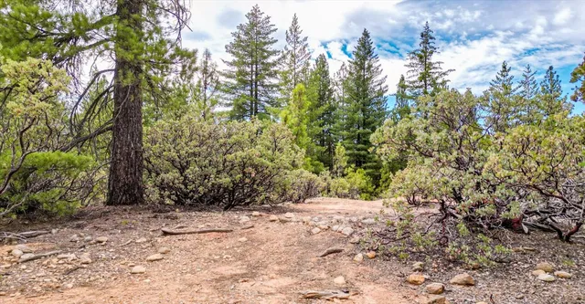 a view of a backyard of a house