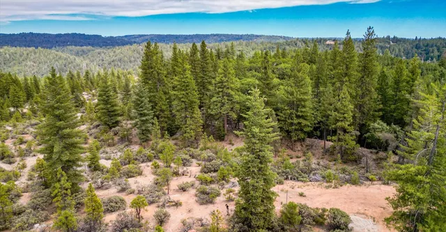 a view of a yard with trees