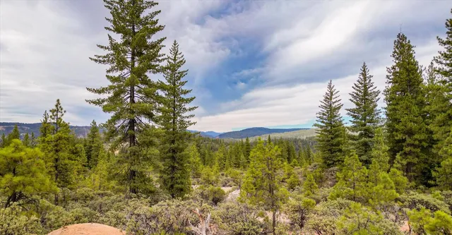 a view of a yard covered with snow in the road