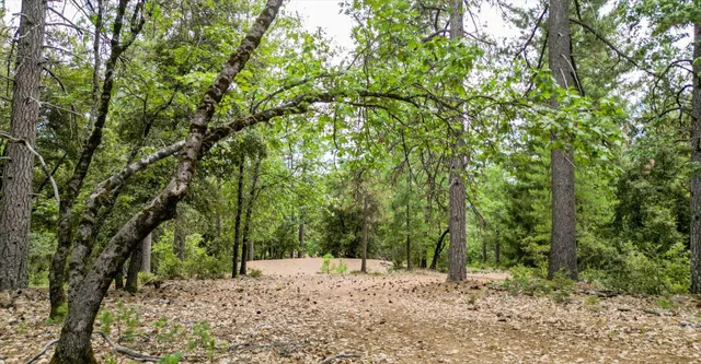 $219,000 | 15623 Chicago Park Powerhouse Road, Colfax, CA 95713