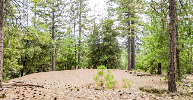 $219,000 | 15623 Chicago Park Powerhouse Road, Colfax, CA 95713