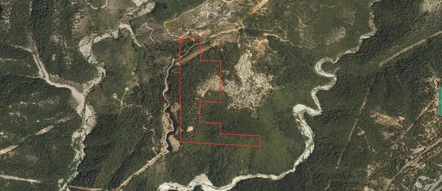 a view of a lush green forest with lots of trees