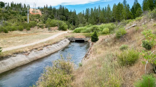 a view of a dry yard with wooden fence