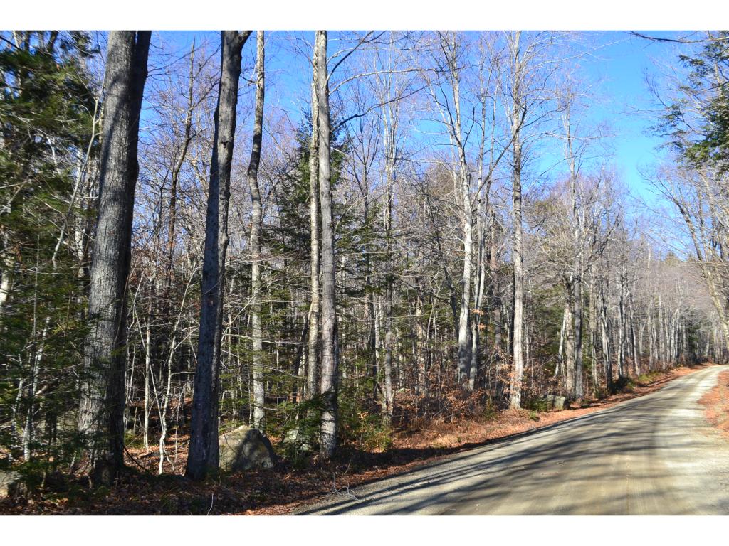 89 Cream Hill Road Alexandria, NH 03222 - Photo 3 of 10 Gallery Image 3