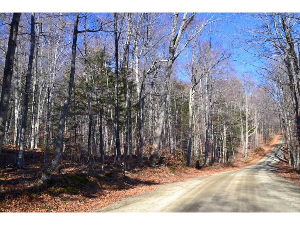 89 Cream Hill Road Alexandria, NH 03222 - Photo 4 of 10 Gallery Image 4