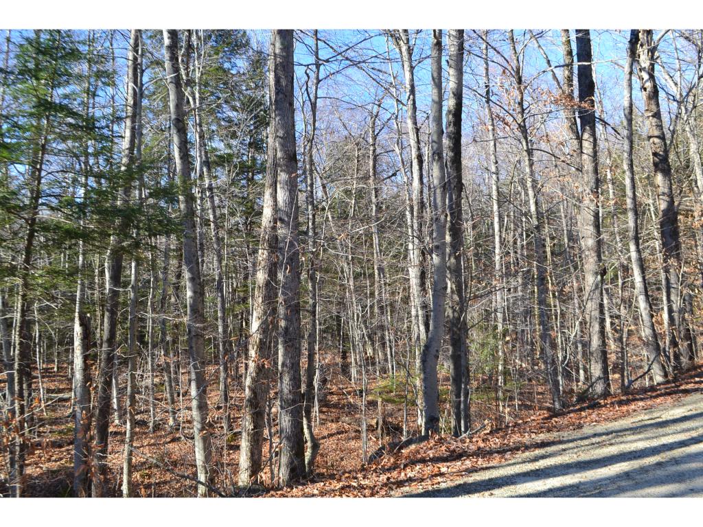 89 Cream Hill Road Alexandria, NH 03222 - Photo 5 of 10 Gallery Image 5