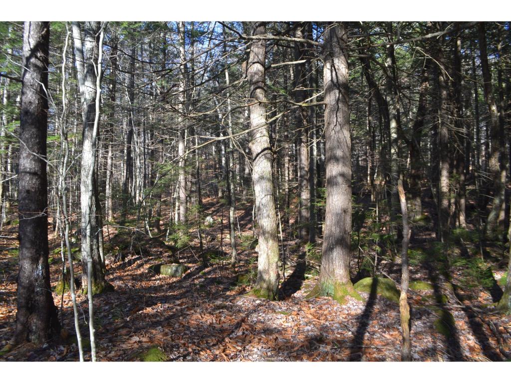 89 Cream Hill Road Alexandria, NH 03222 - Photo 6 of 10 Gallery Image 6