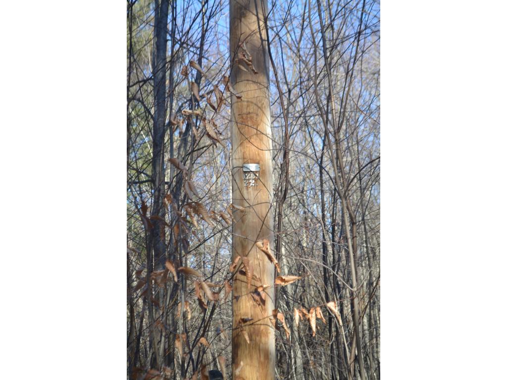 89 Cream Hill Road Alexandria, NH 03222 - Photo 10 of 10 Gallery Image 10